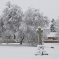 Church Gates