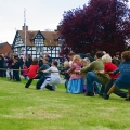 Tug 'o War on May Day